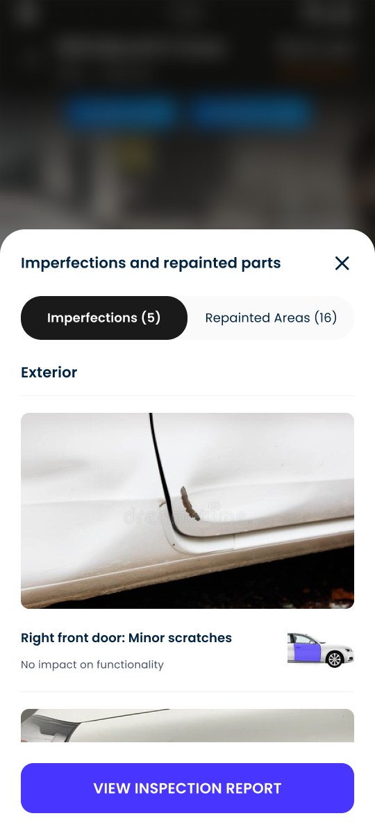 Bottom sheet listing imperfections and repainted areas with photos